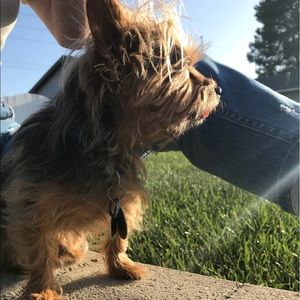 Meet your Posher, Brittney